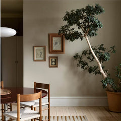 Wall & Decor
