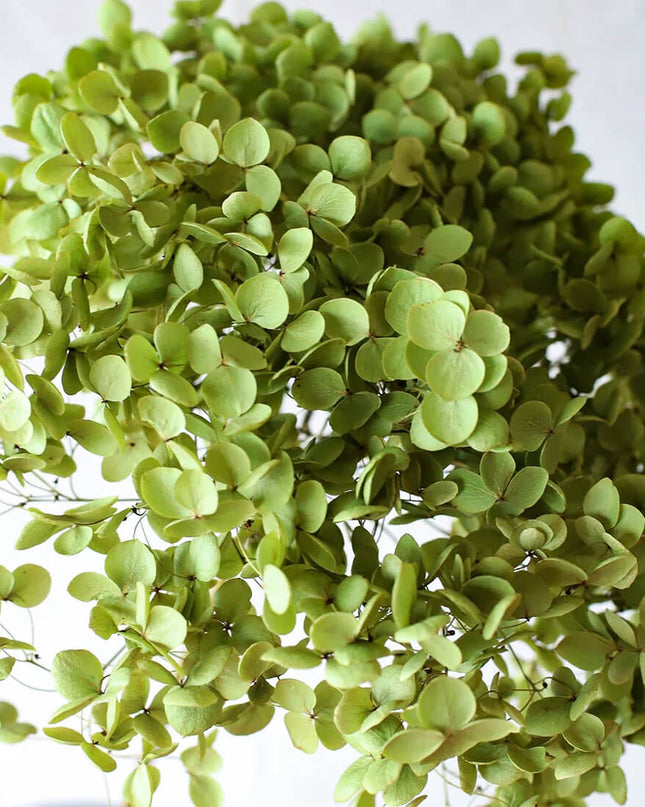 Silk Artificial Flowers Natural Hydrangeas