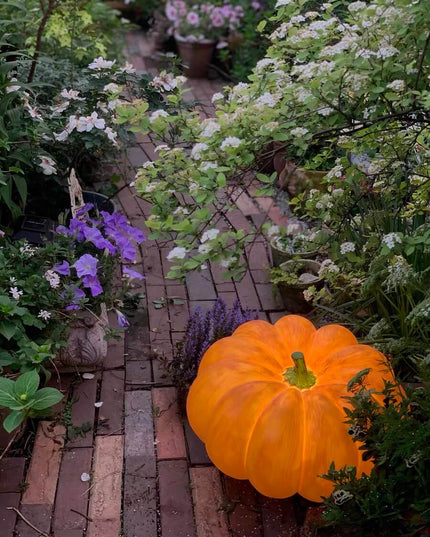 Autumn Outdoor Garden Pumpkin Lighting - Thanksgiving Edition