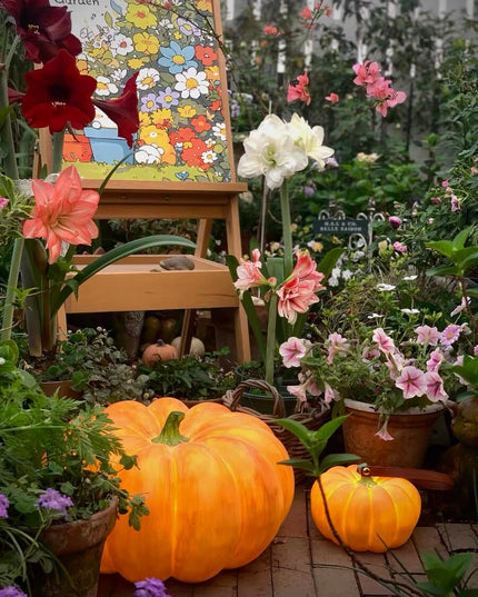 Autumn Outdoor Garden Pumpkin Lighting - Thanksgiving Edition