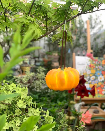 Autumn Outdoor Garden Pumpkin Lighting - Thanksgiving Edition