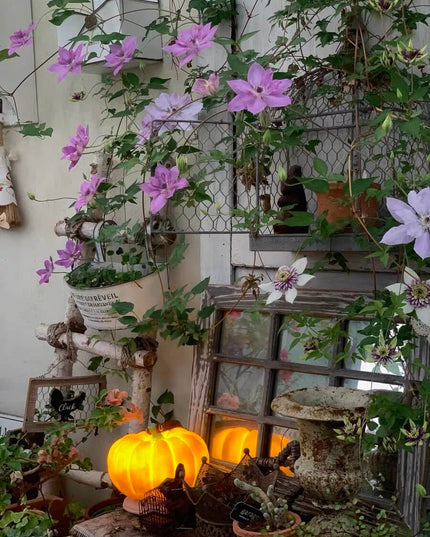 Autumn Outdoor Garden Pumpkin Lighting - Thanksgiving Edition