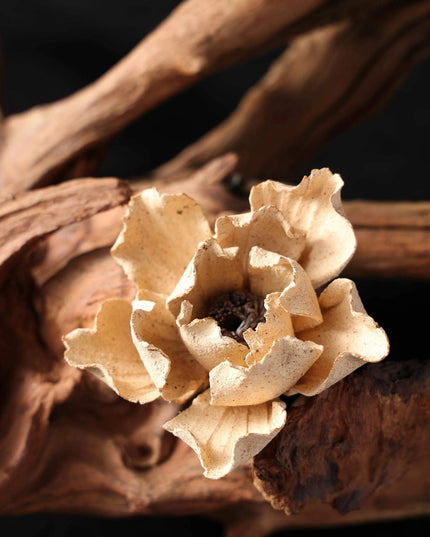 Lotus Ceramic Incense Holder - Calm & Meditation