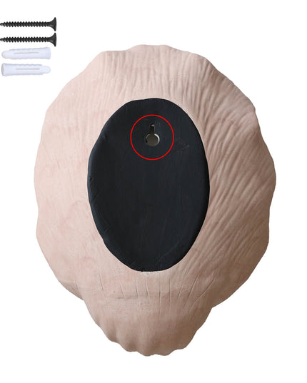 Shell Ceramic Wall Candle Holder Decor - Elegant Wall Decor | Pink & Black